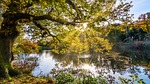 autumn, lake, sunrays