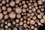 wood, background, pile