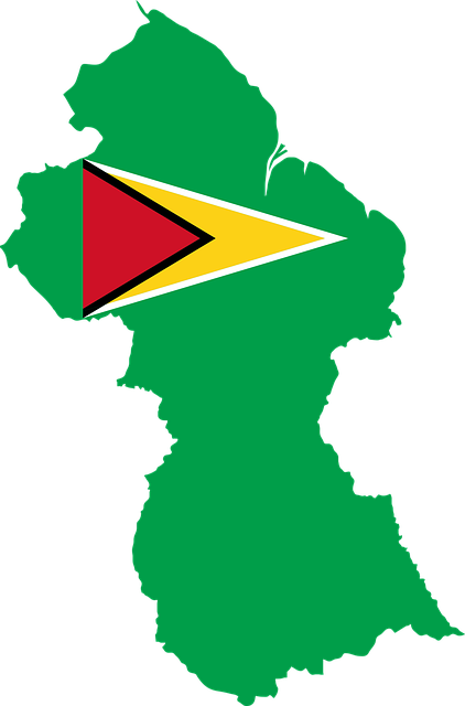 8+ Free Guyana Flag & Guyana Vectors - Pixabay