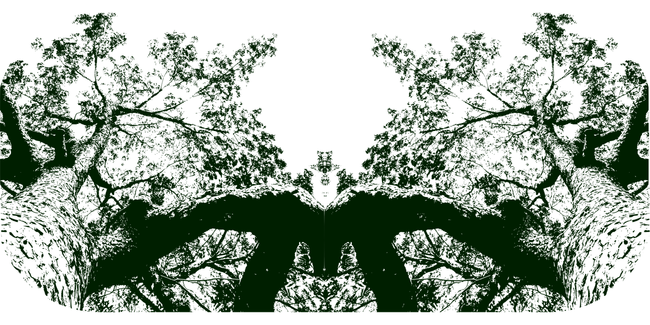 Download Trees Nature Forest Royalty-Free Vector Graphic - Pixabay