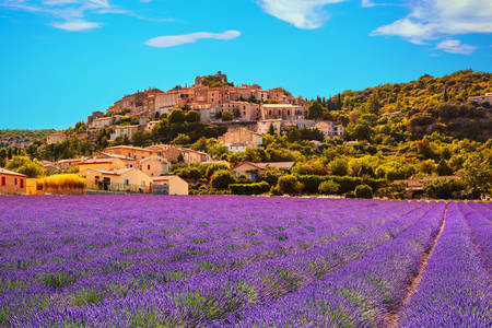 Campos de lavanda perto de Simian-la-Rotonde