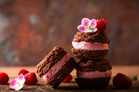 Cake with raspberry ice cream