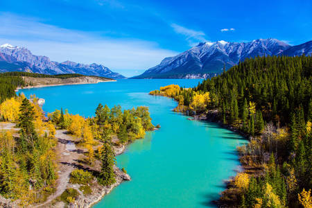 Abraham Lake