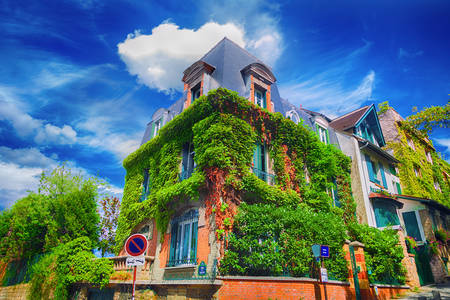 A fachada de um edifício parisiense entrelaçado com hera