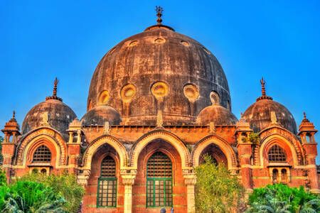 Universidad Maharajá Sayajirao Baroda