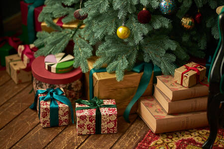 Gifts under the tree