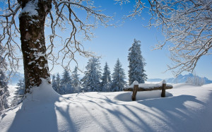 Winter scenery Wallpapers Pictures Photos Images