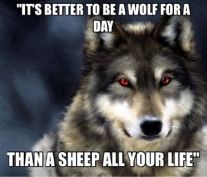 Wolf Quotes