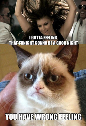 Grumpy Cat Quotes