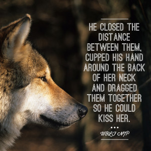 Funnies pictures about Alpha Wolf Quotes