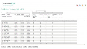 Employee Time Sheet Template