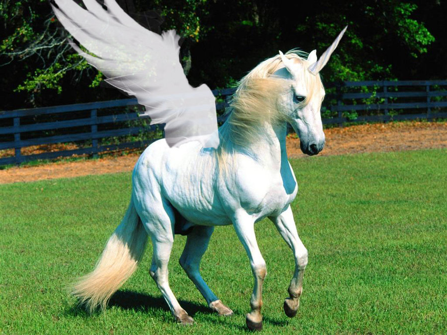 Is Pegasus A Unicorn at viisimoneblog Blog