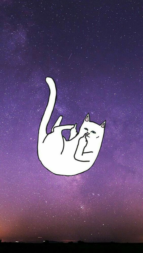 Free download Wallpapers Ripndip gato chido grosero jiji en 2019 Fondos de  [640x1136] for your Desktop, Mobile & Tablet | Explore 40+ Chido Wallpaper |