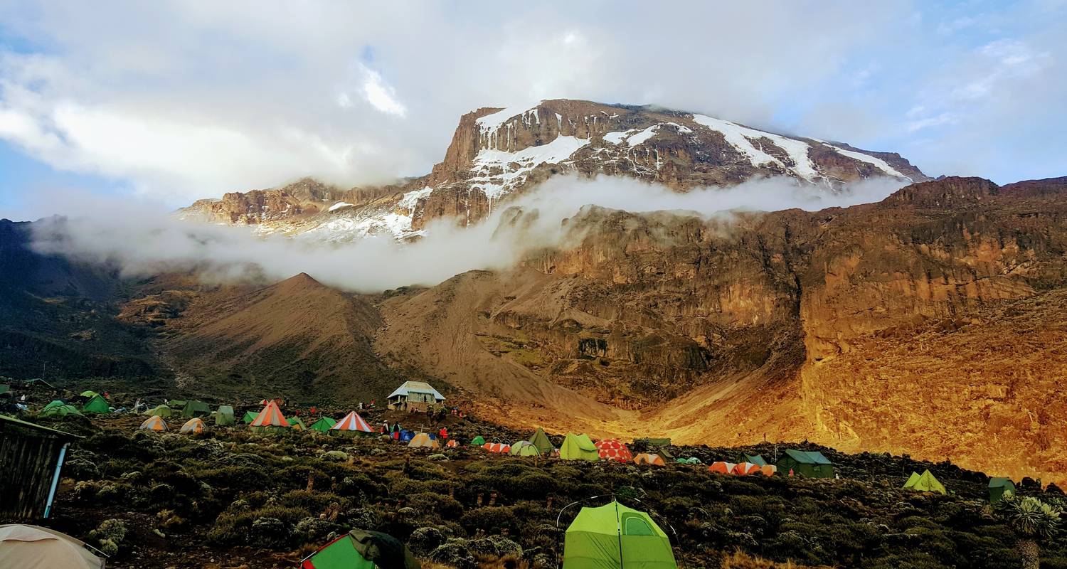 Trek du Kilimandjaro - Route de Machame - 8 jours - G Adventures