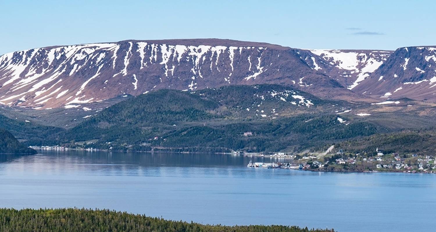 Rondreis om Newfoundland (Ocean Endeavour) - Intrepid Travel