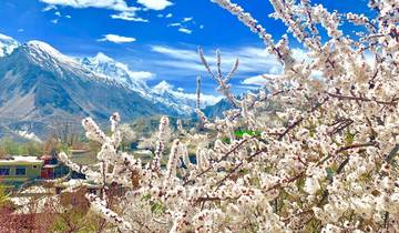 Hunza Valley Nature & Walking Tour