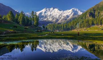 Nanga Parbat Base Camp Trek and Fairy Meadows tour