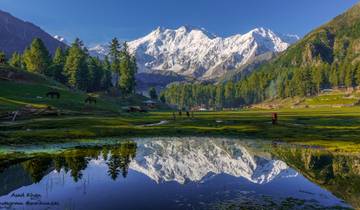 Trekking tour to Nanga parbat Base Camp, Rakaposhi Base Camp and Patundas Pakistan