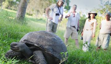 Galápagos Island Hopping (6 destinations) Tour