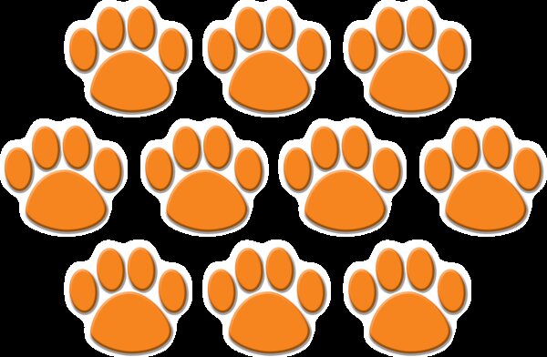 TCR4649 Orange Paw Prints Accents Image