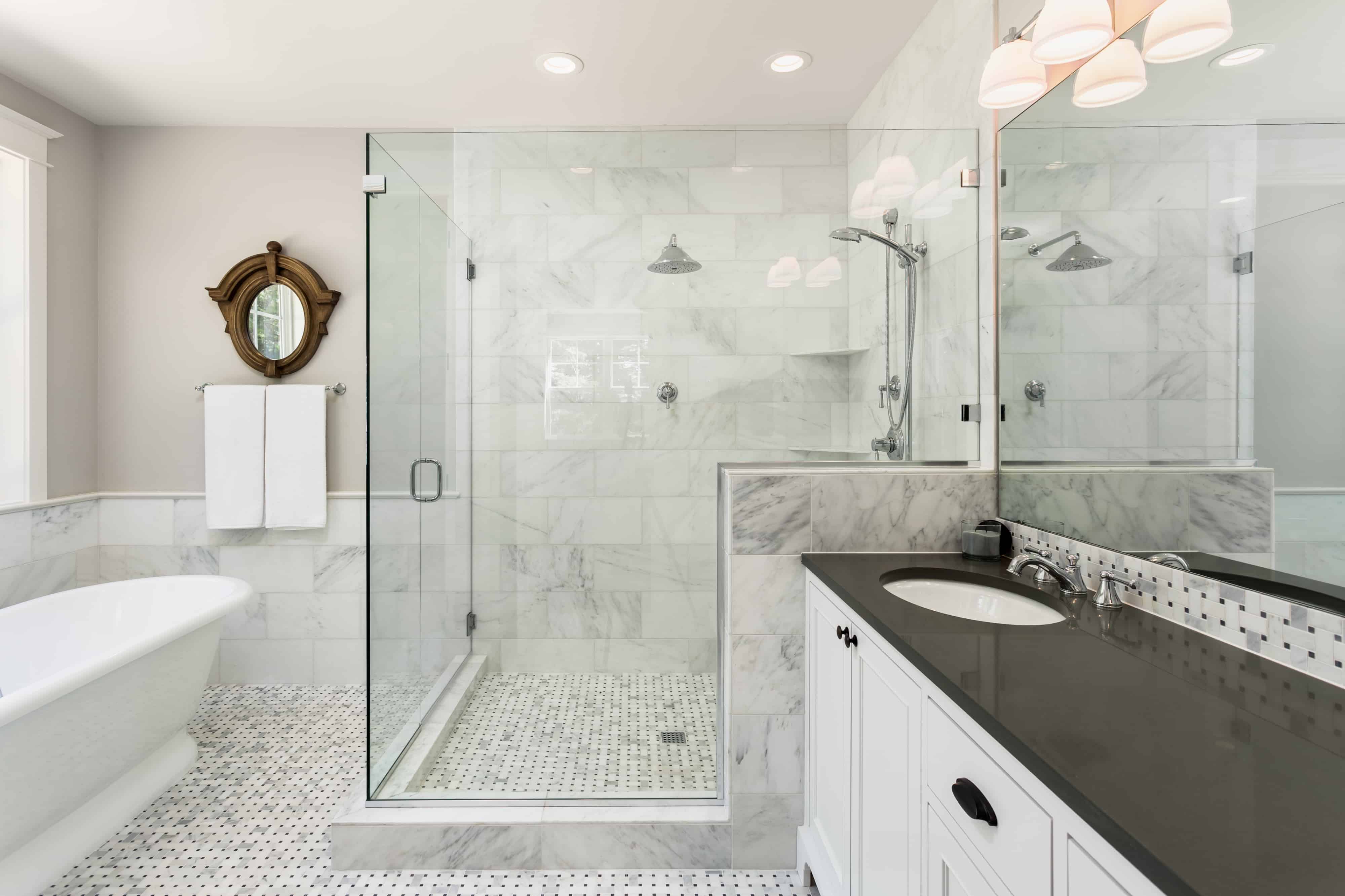 Bathroom in Luxury Home: Bathtub and Shower