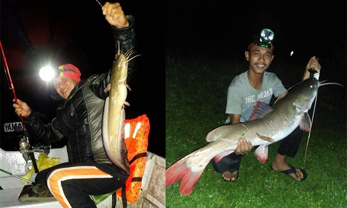 Tatacara Terbaik Memancing Pada Waktu Malam