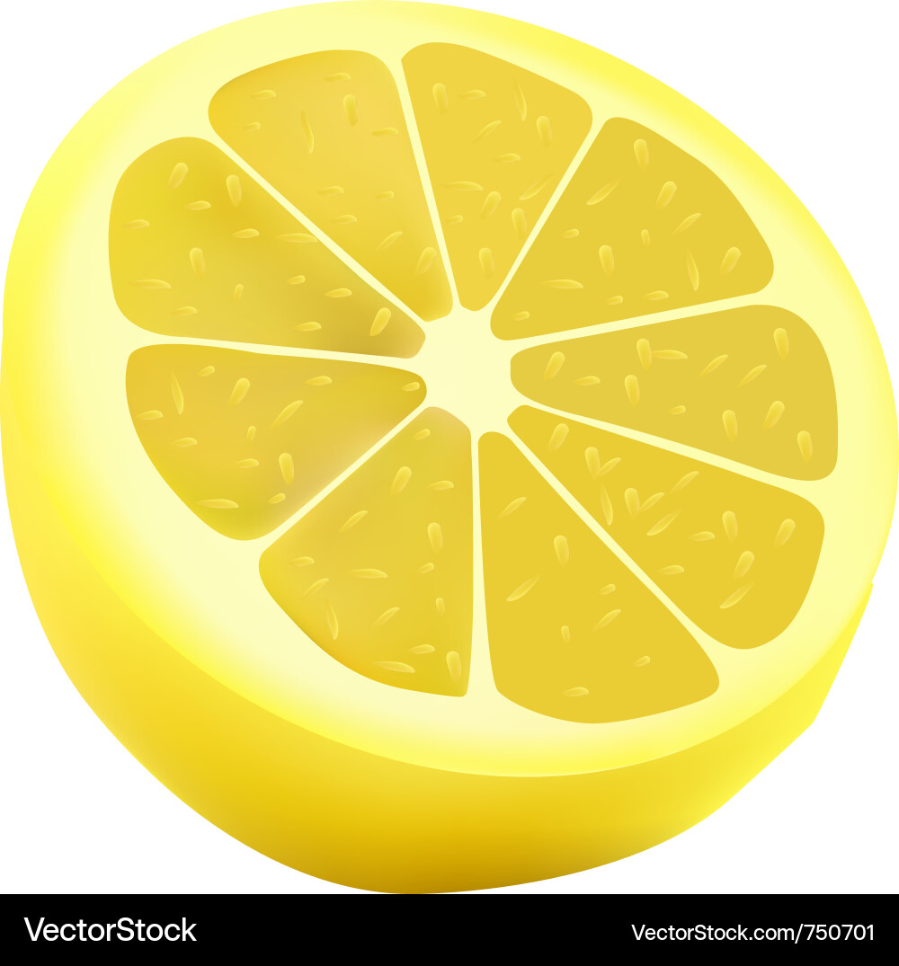 Lemon vector image