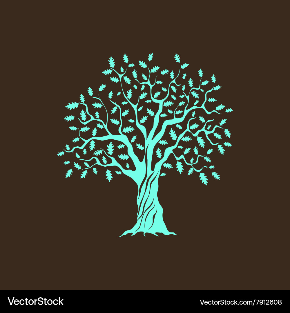 Oak vector image