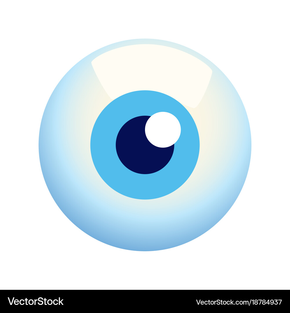 Eyeball vector image