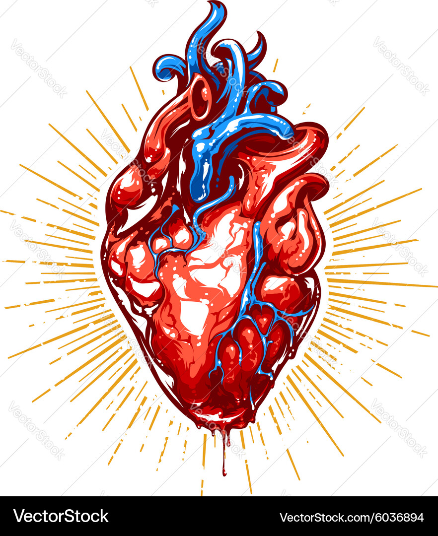 Heart art vector image