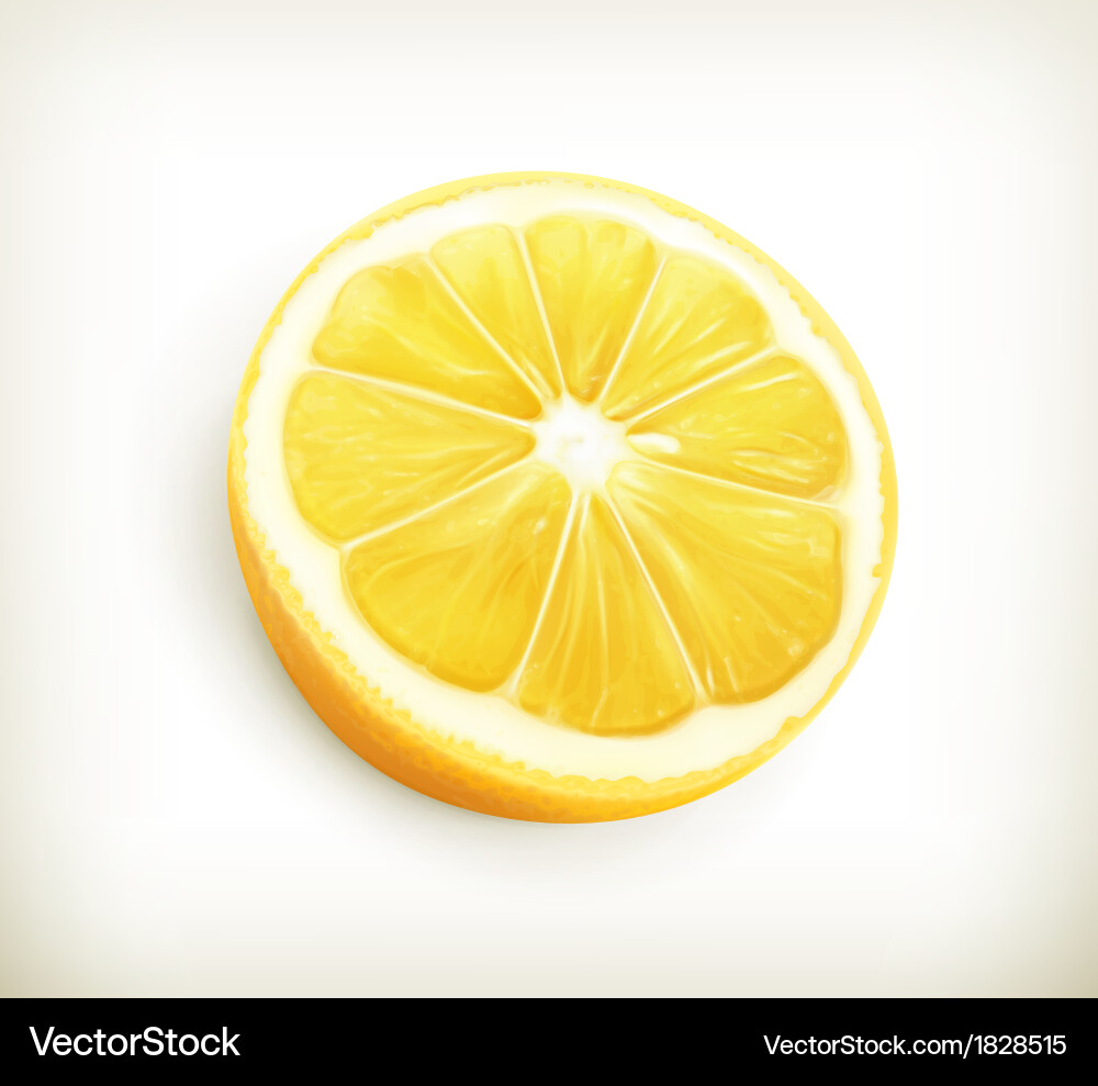 Lemon vector image