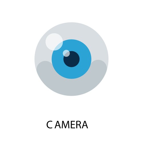 Eyeball vector image