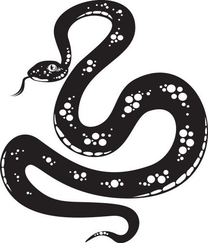 Snake vector image