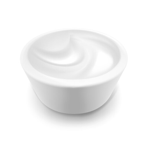 Sour cream vector image