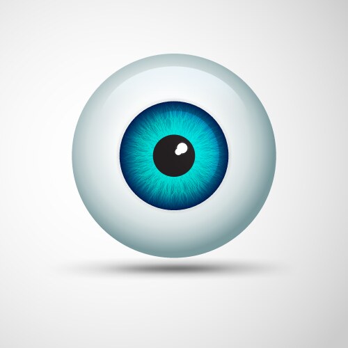 Eye ball vector image