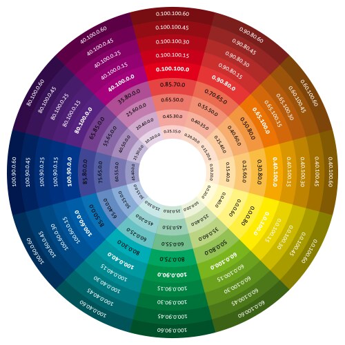 Color wheel vector image