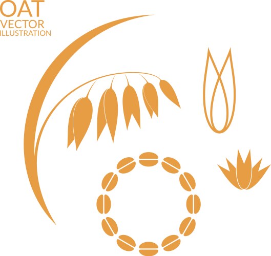 Oat set vector image