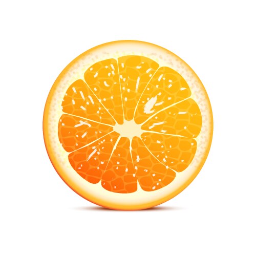 Orange vector image