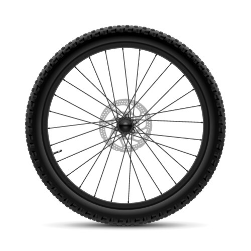 Bicycle wheel vector image