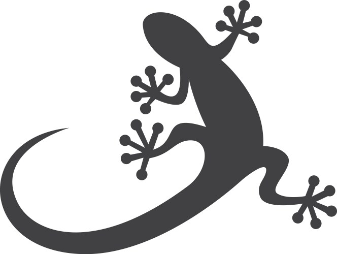 Lizard vector image