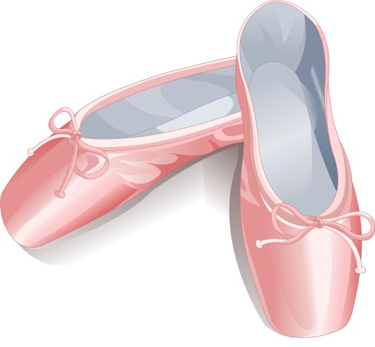 Ballet shoes vector image