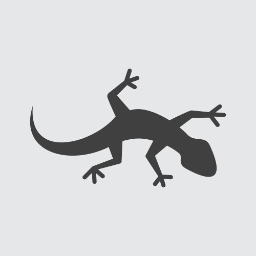 Lizard icon vector image