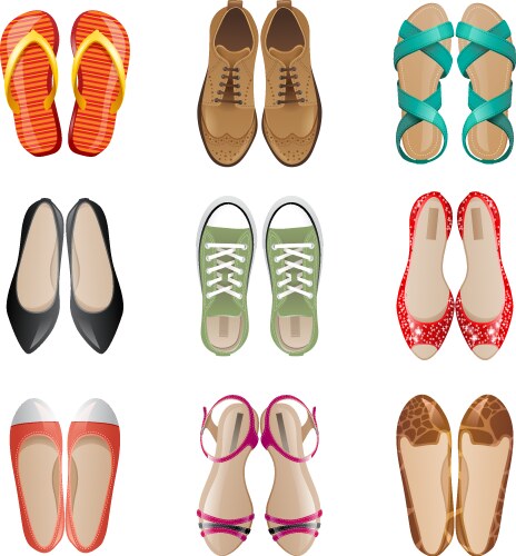 Women shoes vector image