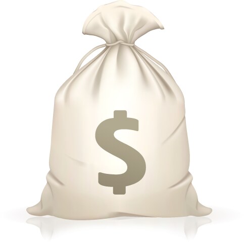 Money bag vector image