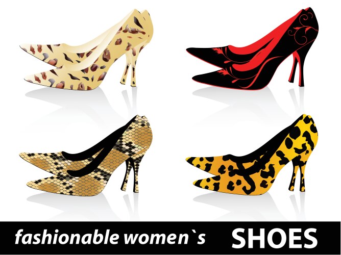 Womens shoes vector image