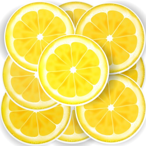 Lemon slices vector image