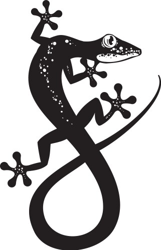 Lizard vector image