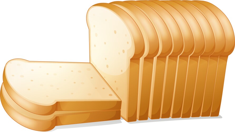 Bread slices vector image