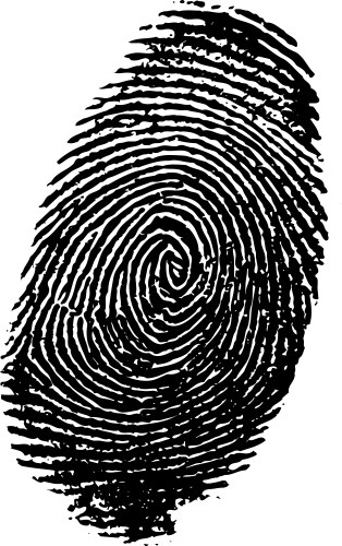 Finger print vector image