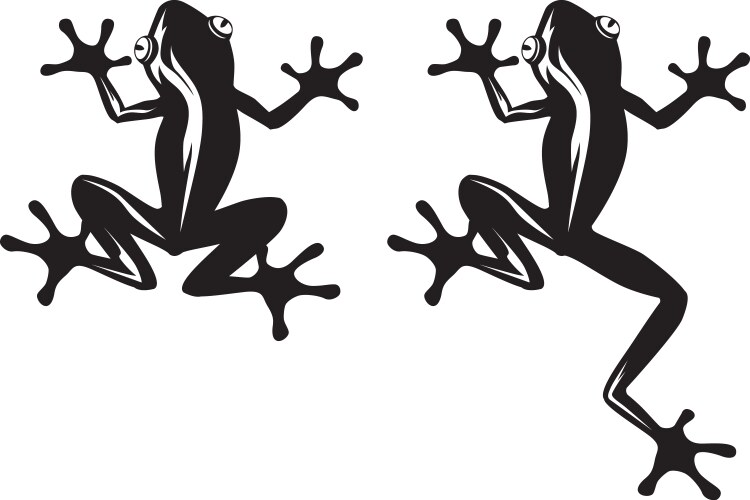 Frog vector image